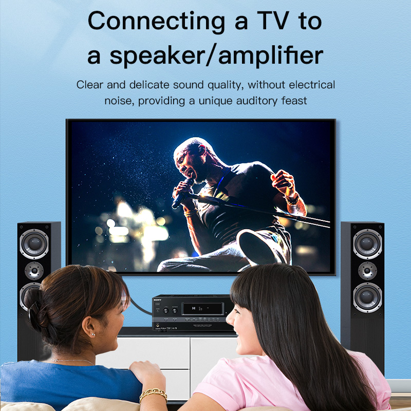 CHOSEAL RCA Cable Digital Coax - Home Cinema Beamer review and price